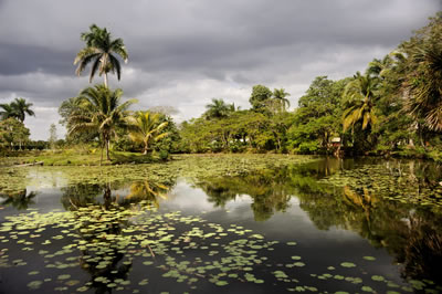 Boca-de-guama-cienaga-de-zapata-cuba-02b