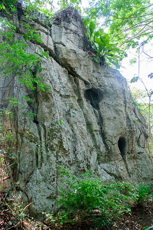 Bosque-de-Piedra