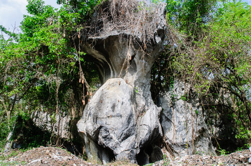 El-Bosque-de-Piedra-de-Isabel-Rubio-Monumento-Nacional