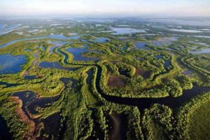 cienaga-de-zapata-Visitas-Guiadas-en-la-Habana-y-Cuba-Guías-Recorridos-