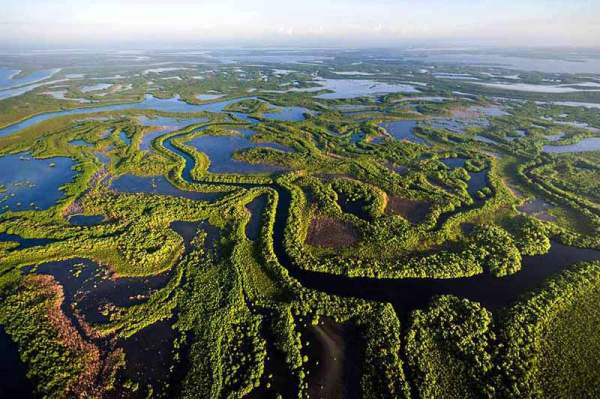 cienaga-de-zapata-Visitas-Guiadas-en-la-Habana-y-Cuba-Guías-Recorridos-