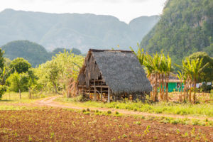 Viñales National Park, Cuba