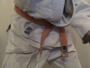 Judo_orange_belt_(Brusselsshrek)