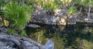 1554311564-visita-cienaga-zapata-disfruta-belleza-natural-cuba