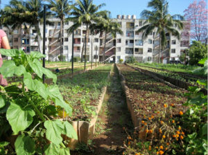 rotonda_de_cojimar___urban_garden_havana