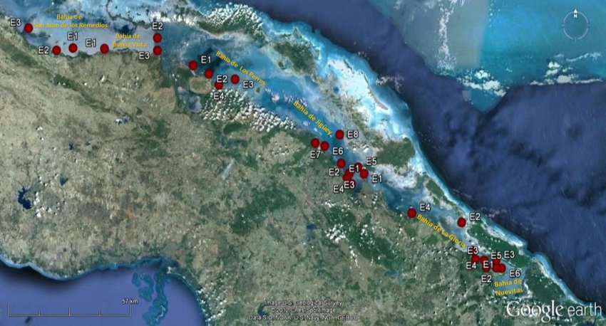 Figura-1-Archipielago-Sabana-Camagueey-situado-en-la-region-norcentral-de-Cuba