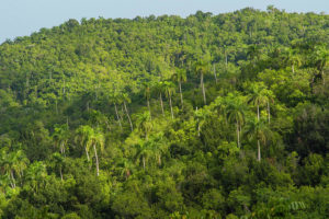 1-cuba-artemisa-las-terrazas-unesco-inger-hogstrom