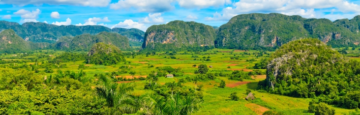 LAHABANA_OCIO_VALLEDEVINALES_732X234