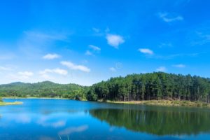 las-terrazas-natural-park-artemisa-cuba-tropical-landscape-lake-hills-pinetrees-horizon-171968724