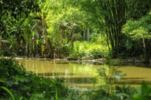 jardin-botanico-soledad