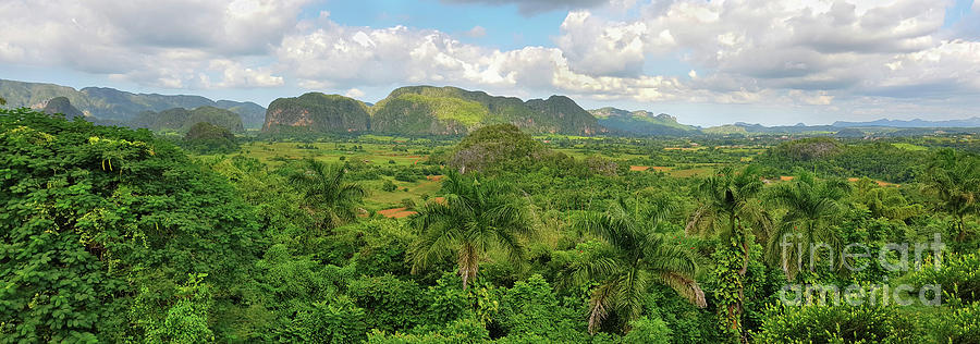 panoramic-view-of-cuban-green-rain-forest-vladimir-vuletikj