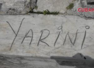 yarini (1)