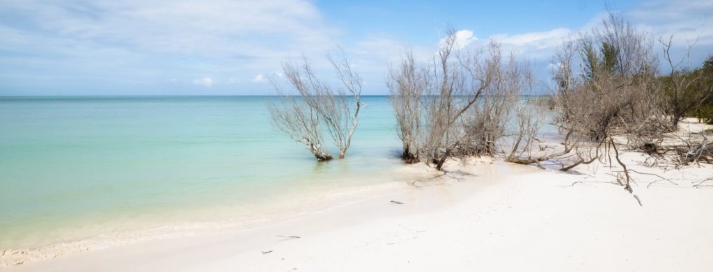 playa-en-cayo-jutias-cuba-1415x540-1565961321 (1)