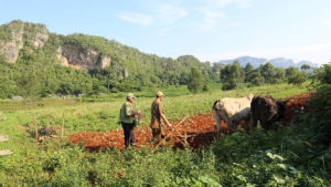 autoridades-haciendo-campesinos-disponible-FlickrtTnman6_CYMIMA20200709_0010_16