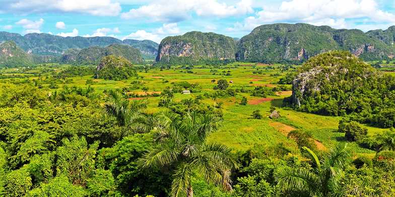 tzoo.98129.0.879086.Vinales-Valley-Cuba-Shutterstock_86617834