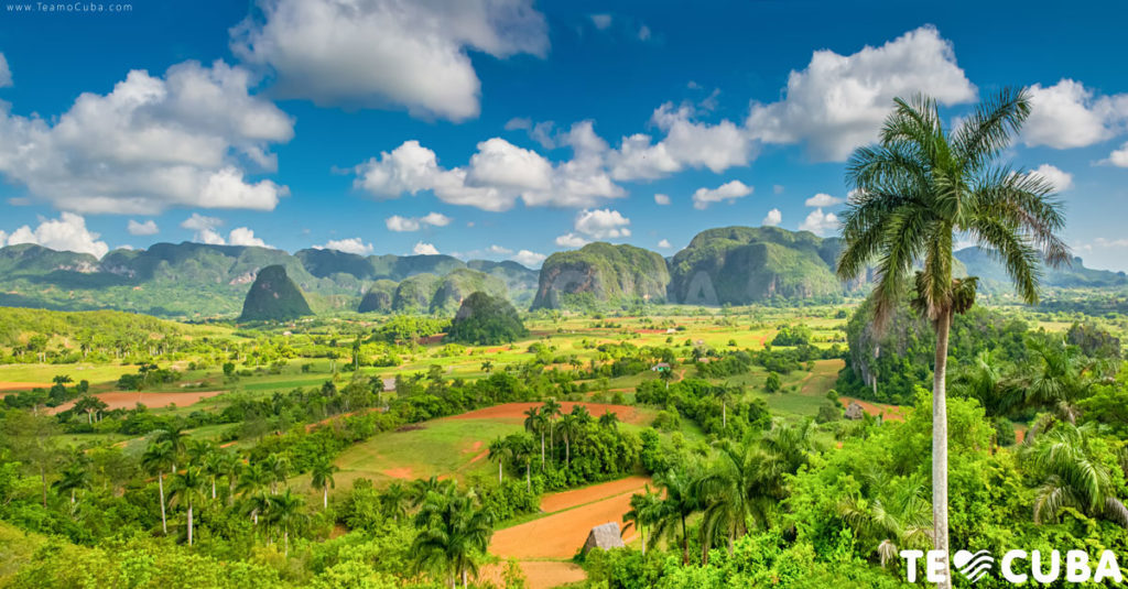 vinales-portada-1024x535