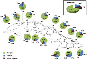 360px-Distribution_of_ancestral_contributions_in_Cuba_as_inferred_from_autosomal_AIMs