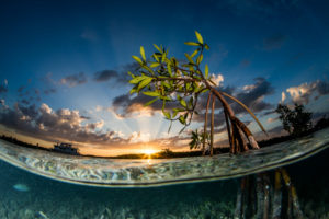 Sunset-over-the-great-lagoons-of-Jardines-de-la-Reina-Cuba