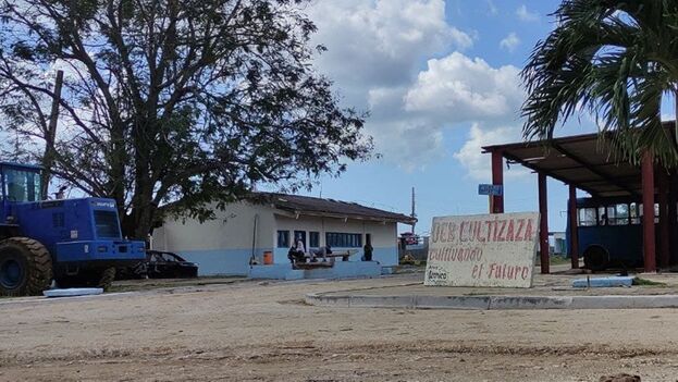 Empresa Cultizaza, ubicada en Tunas de Zaza, Sancti Spíritus. (14ymedio)