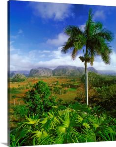 cuba-pinar-del-rio-vinales-valley-sierra-de-los-organos-landscape,2018656