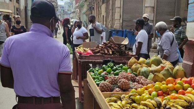 El plátano, una de las frutas más consumidas en la Isla, está entre los cultivos que más daños ha sufrido. (14ymedio)