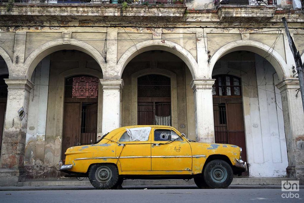 almendron-en-la-habana-2023-alejandro-ernesto-3-1024x683