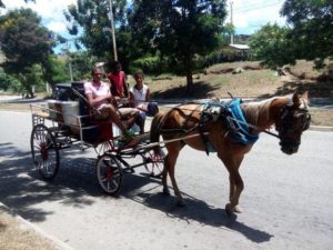 vendedores-de-agua.