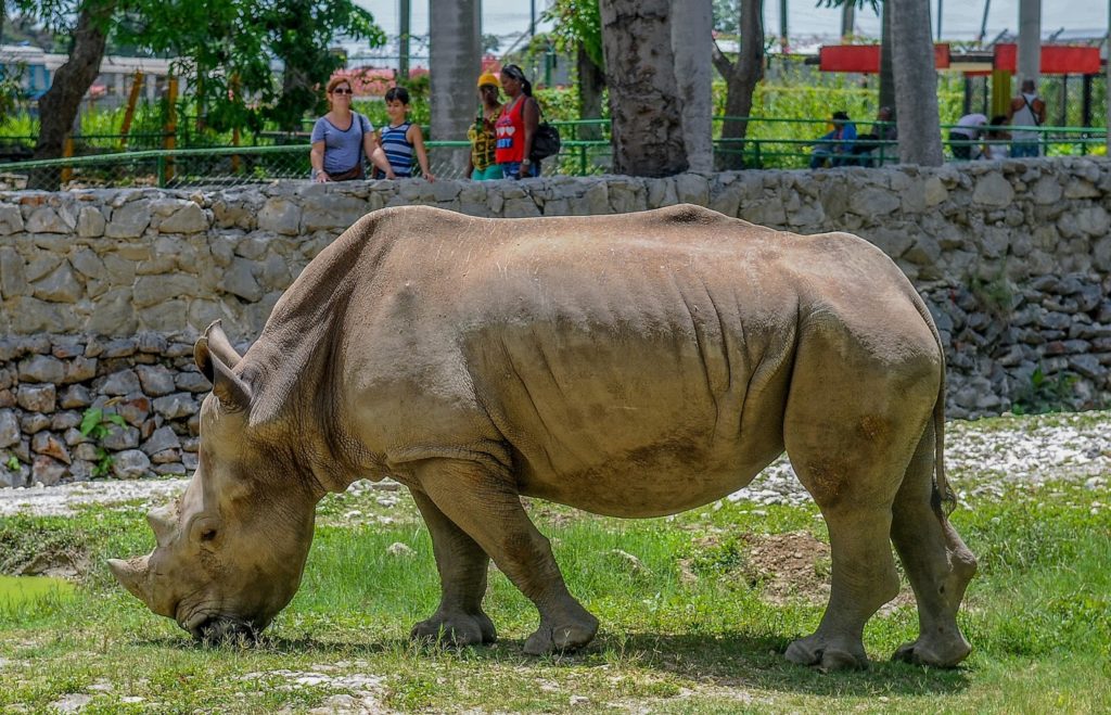 fotorreportajer sobre, El Zoològico de 26