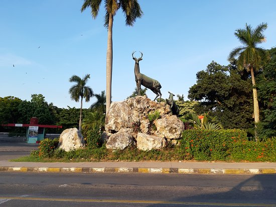 entrada-del-zoologico