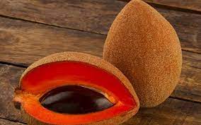 El mamey es una de las frutas más gustadas en Cuba y es originario de la América Tropical y Las Antillas